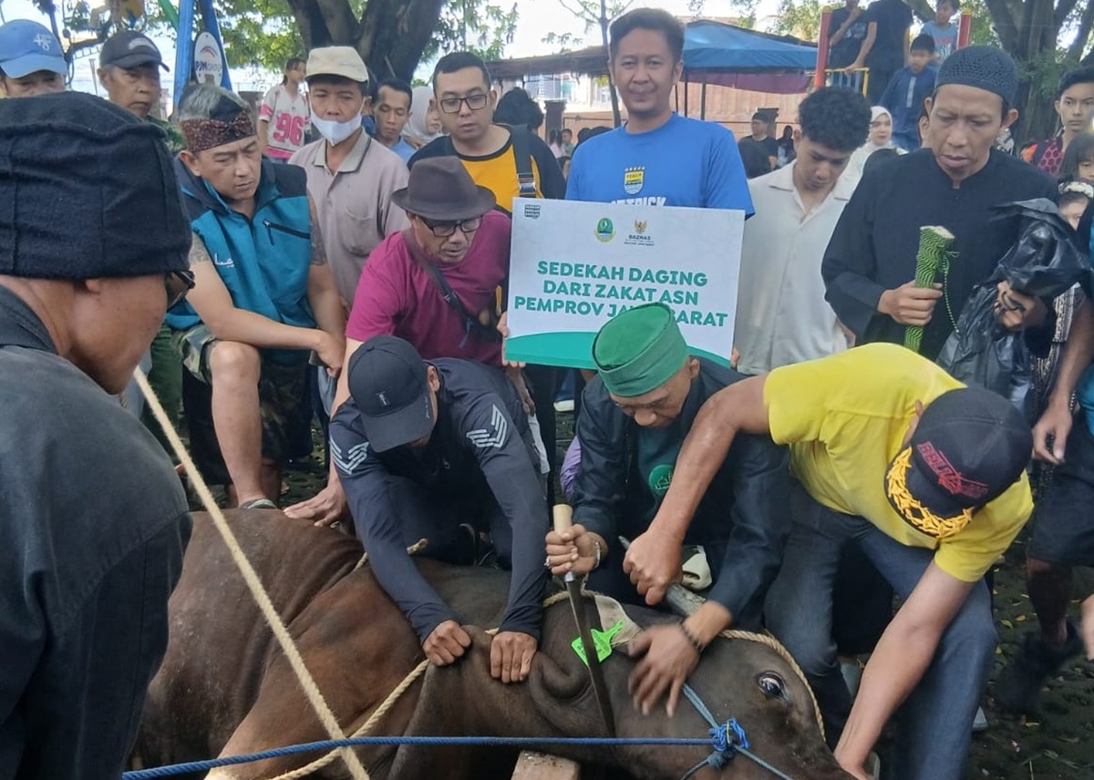 Baznas Jabar Distribusikan Hewan Kurban hingga Wilayah Pelosok Jawa Barat