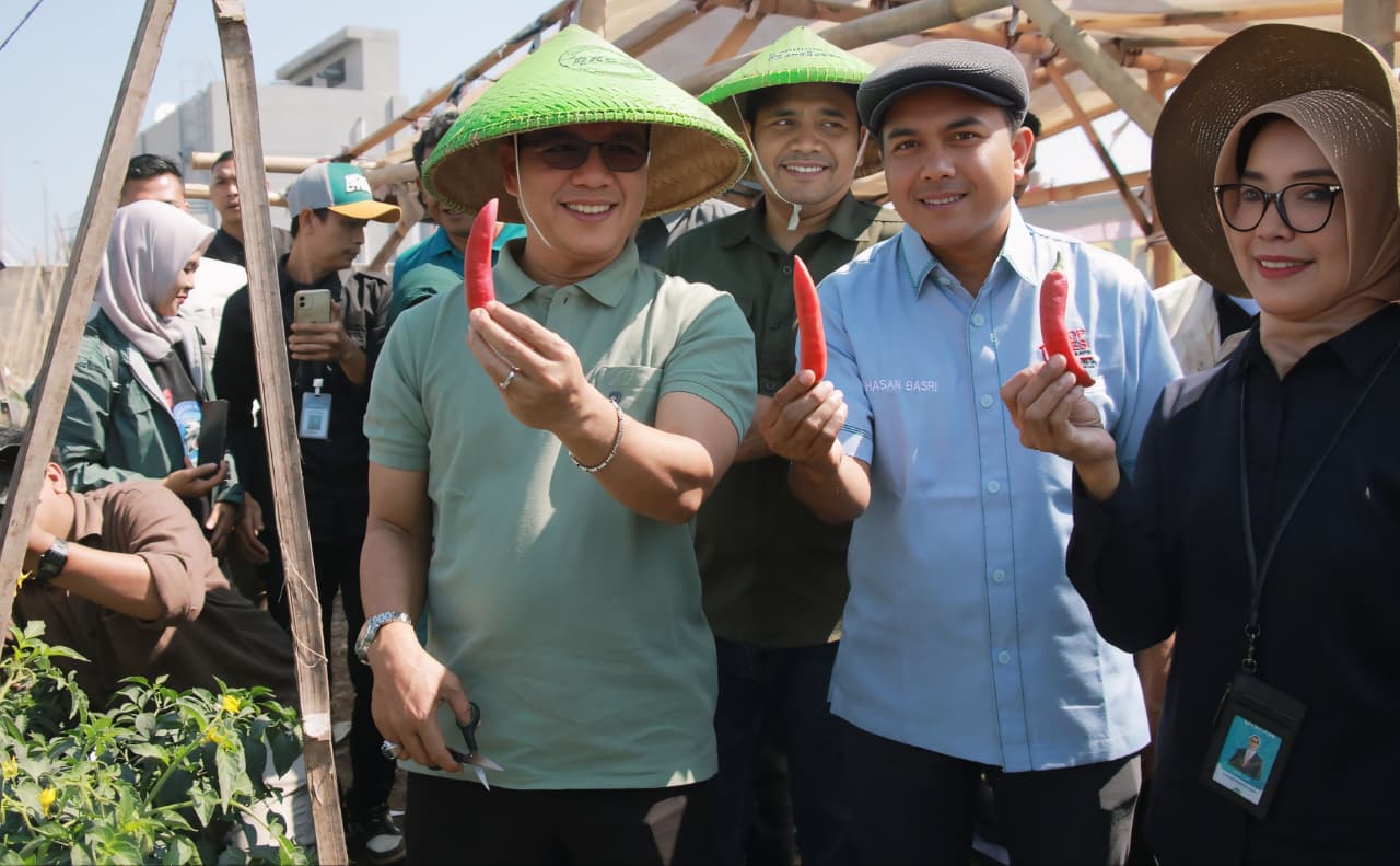 Panen Raya Cabai Merah, KDS Dorong KDMP Lengkong Jadi Model Usaha Desa